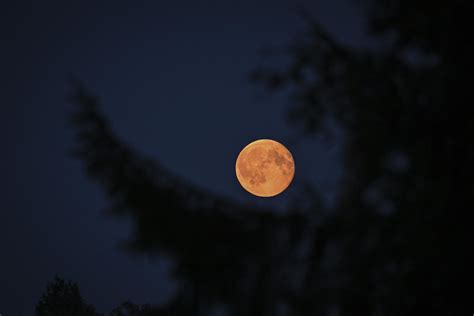 L'eclissi lunare del 7 settembre in cinque foto - Info Data
