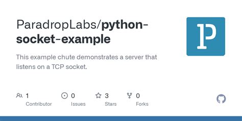 Python Socket Example 的图像结果