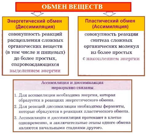 Конспект "Обмен веществ" - УчительPRO