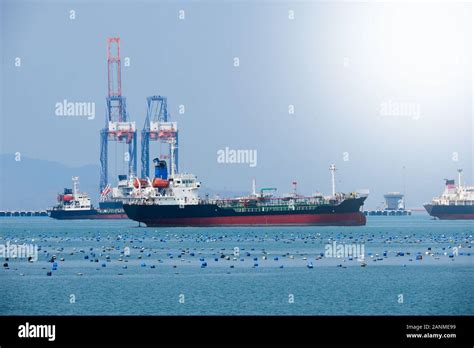 Export 的图像结果