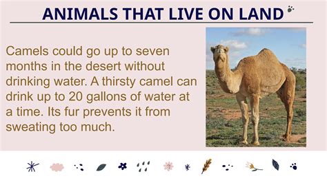 Science 2ndQ Lesson 1 - Body Parts that Helps Animals and Animal Habitats.pptx