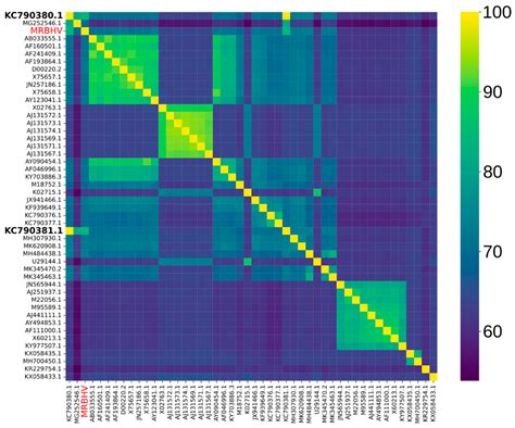 Detection and Genomic Characterization of a Bat Orthohepadnavirus in ...
