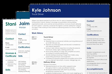 Image result for Free CV Examples