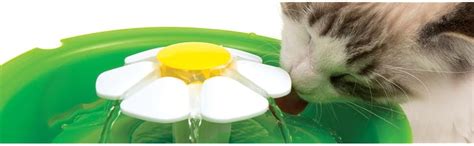 Catit Flower Fountain : Amazon.in: Pet Supplies
