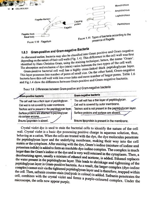Cell bio oxford book - Summary Microbiology - Cell Biology - 12 CELL ...