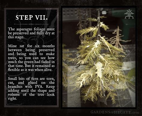 Image result for Tutorial On Creating Pine Trees