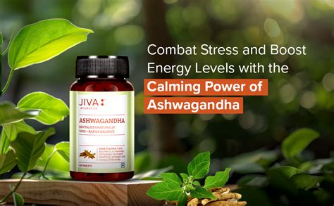Jiva Ashwagandha Tablet - 120 Tablets | Ayurvedic Ashwagandha ...