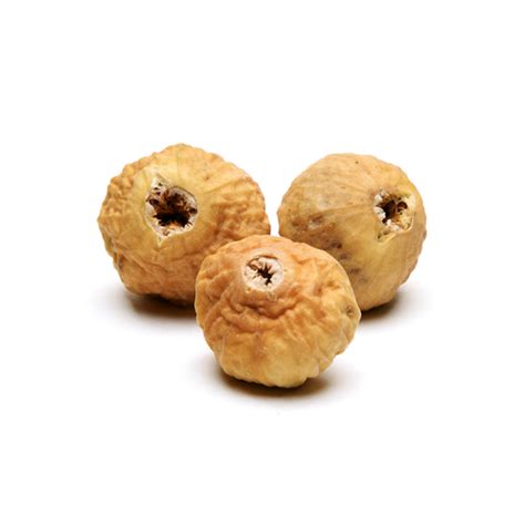 Karentin Land | Premium Iranian Figs