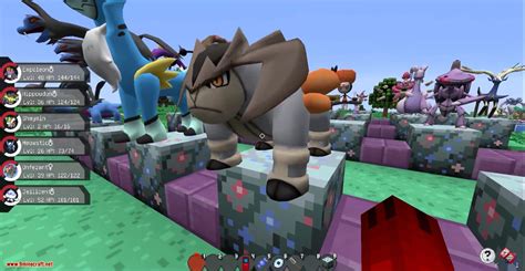Image result for Pixelmon Installation
