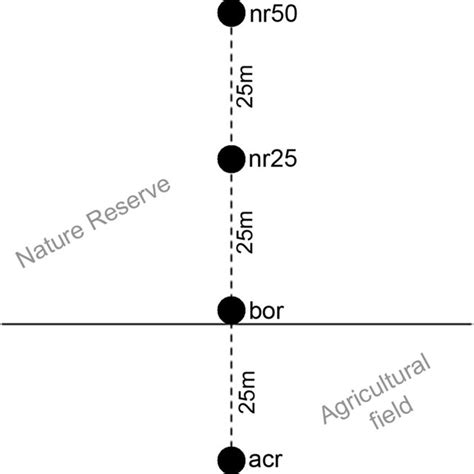 Image result for Transect Sampling