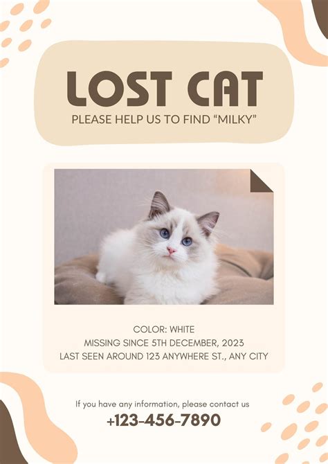 Lost Cat Flyer Template Free Printable