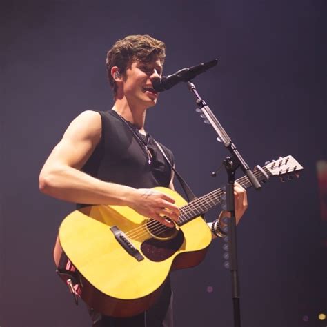Shawn Mendes: The Tour – Concert Review – Today's Pop Music