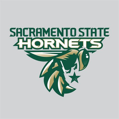 SACRAMENTO STATE HORNET ICON REDESIGN on Behance