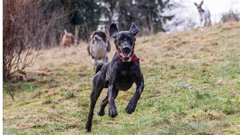 Hello Neighbor Crying 的图像结果