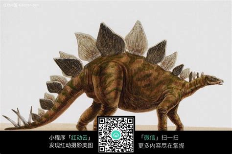 恐龙40图片免费下载_红动中国