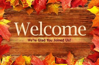 Welcome Loop Examples 的图像结果