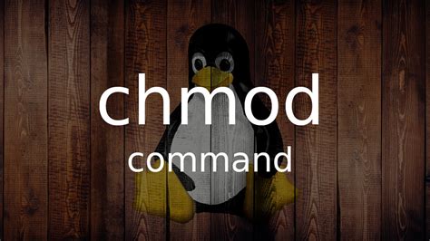 Explain Chmod 的图像结果