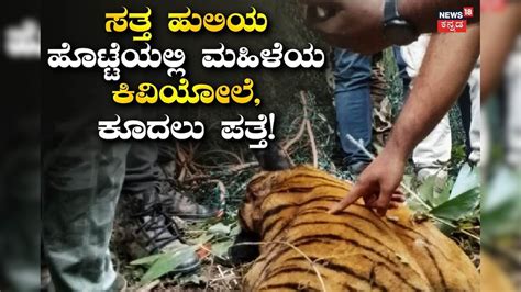 ಕಾಡಿನಲ್ಲಿ ಶವವಾಗಿ ಪತ್ತೆಯಾದ ಹುಲಿ! ಹೊಟ್ಟೆಯೊಳಗೆ ಮಹಿಳೆಯ ಕಿವಿಯೋಲೆ, ಬಟ್ಟೆ ...