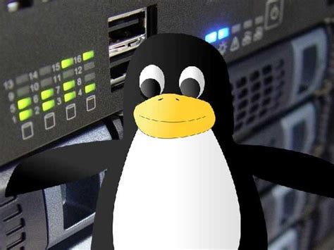 Linux Web Server Software 的图像结果