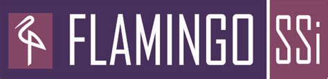 Welcome to FLAMINGO SSi