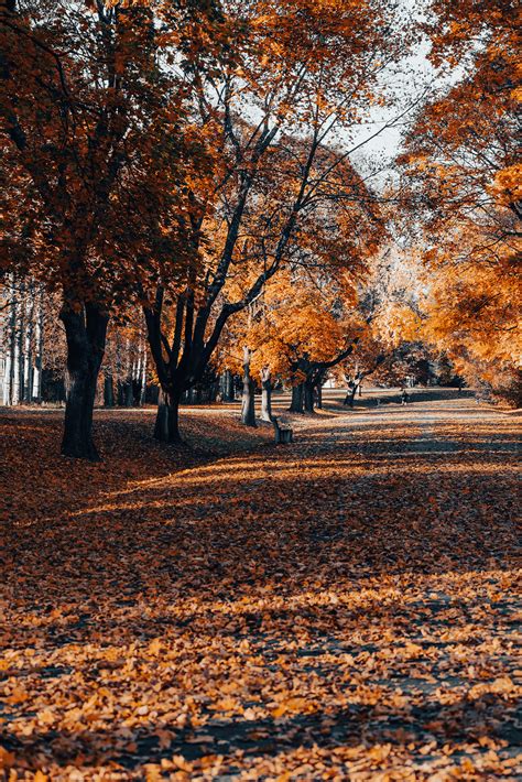 Cushing Memorial Park -- Autumn on Behance