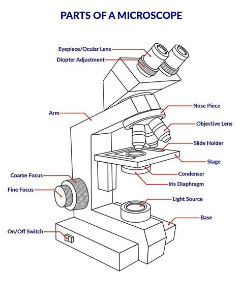 Microscope diagram labeled unlabeled and blank parts of a microscope ...