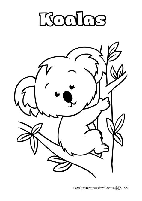 12 Koala Coloring Pages - LovingHomeschool.com