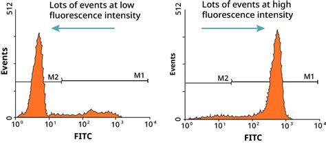 FlowJo Mean Fluorescence Intensity Table 的图像结果