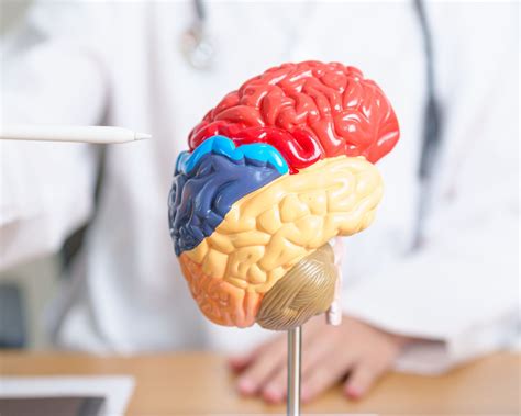 Paroxysmal Sympathetic Hyperactivity after TBI - Nursing CE Central