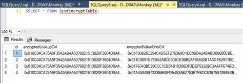 Image result for How to Set and Use Encrypted SQL Server Connections