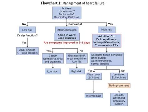 Heart Failure in Children: Indian Academy of Pediatrics Guidelines