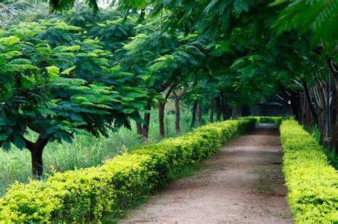 soukya international holistic health centre