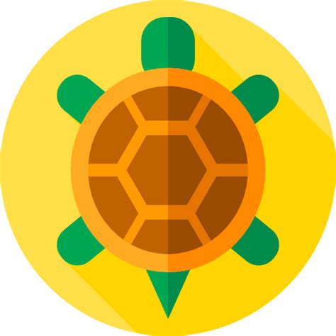 Image result for Turtle Shell Cartoon Texture