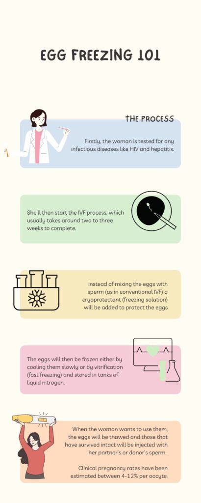 Image result for Egg Freezing Process