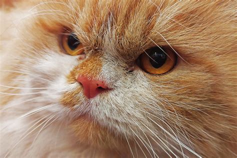 Major stars who dropped out of high school