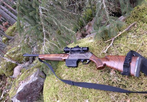 Prelevato il primo lupo - UnserTirol24