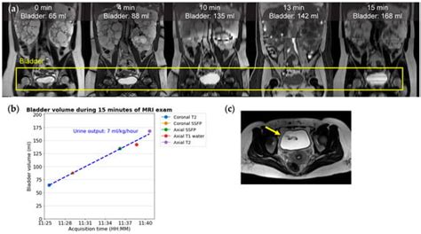Biomedicines | May 2024 - Browse Articles