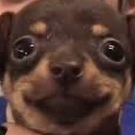 Image result for JavaScript YouTube Cadin