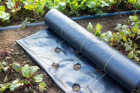Landscape Fabric: The Pros and Cons of Using it in Your Garden