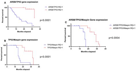 Synergistic Impact of ARSB, TP53, and Maspin Gene Expressions on ...