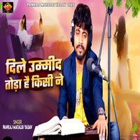 Dile Umid Toda Hai Kisi Ne (Bhojpuri) Song Download: Play & Listen Dile ...