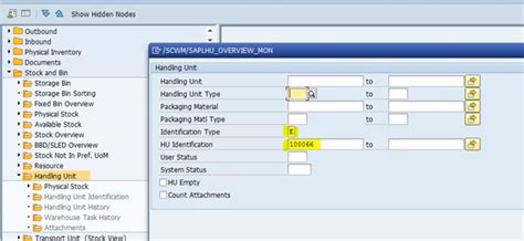 SAP EWM - Handling Unit - Identification Number