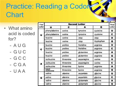 Image result for Codon Chart Reading