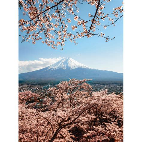 Wall Mural Colombo - Mount Fuji in Japan | wall-art.com