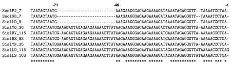 Life | Special Issue : Archaea: Evolution, Physiology, and Molecular ...
