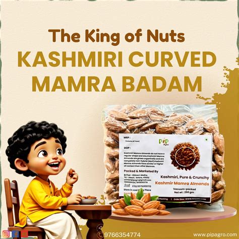 Collections – PIP AGRO