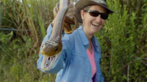 Image result for Female Python Hunters