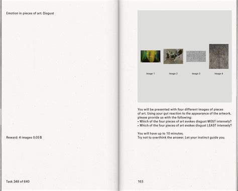 Sorry Leaking Subjects and Bounding Boxes: On Training A...