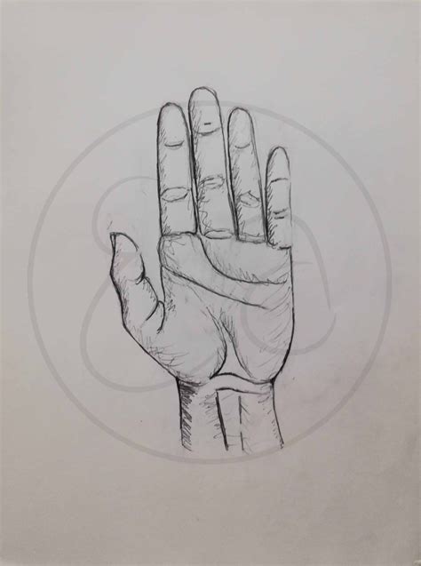 Image result for Hand Dissection