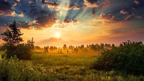 Falconer Funeral Homes | Clinton, ON | Goderich, ON